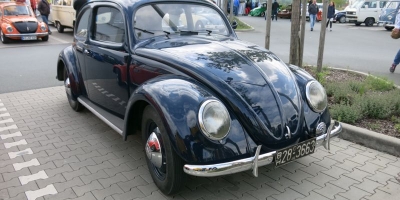 Bug_Hausen-11