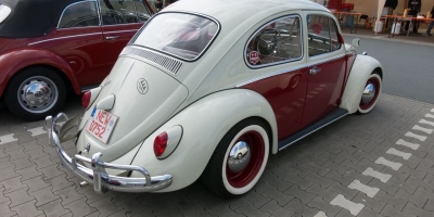 Bug_Hausen-33